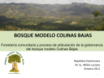 BOSQUE MODELO COLINAS BAJAS