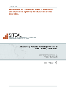 El Caso Chileno, 1990-2000