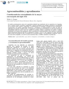Agrocombustibles y agroalimentos - e
