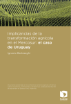 Implicancias de la transformación agrícola en el Mercosur: el caso