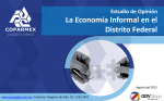 Estudio de Opinión La Economía Informal en el Distrito Federal