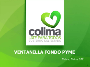 Programa de Trabajo FONDO PYME 2011