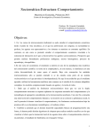 Sociomática:Estructura-Comportamiento