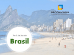 Perfil turista Brasil