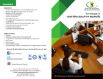 Folleto Gestion ejecutiva biling&uuml;e
