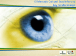 El mercado cultural brasileño y su Ley de Mecenazgo (512 kbytes)