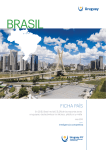 informe-brasil-junio-2016