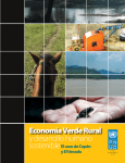 Economía Verde Rural - Programa de las Naciones Unidas para el
