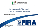 La Experiencia FIRA en el Financiamiento Agropecuario.