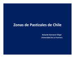 Zonas de Pastizales de Chile