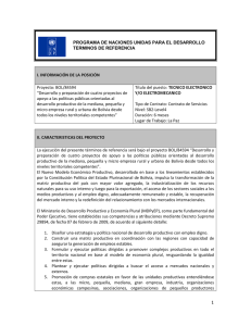 TDR TECNICO ELECTRONICO