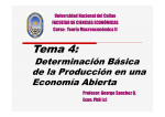 Determinación Básica de la Producción en una Economía Abierta