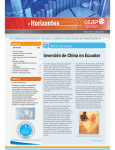 Boletín CEAP No.4 Abril 2010
