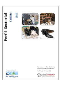 Perfil Sectorial de Calzado - Direcci&oacute;n de Innovaci&oacute;n y Calidad