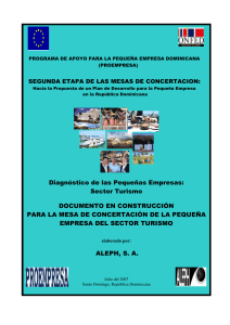 Diagn&oacute;stico de las Peque&ntilde;as Empresas: Sector