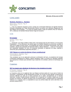 8 - Concamin