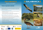 Salamanca, destino ornitológico