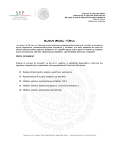 T&Eacute;CNICO EN ELECTR&Oacute;NICA