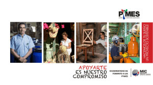 VICEMINISTERIO DE FOMENTO A LAS PYMES