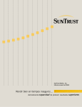 SunTrust Informe anual del 2002