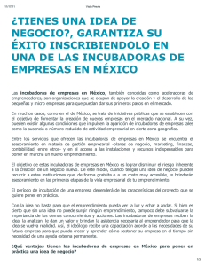 tienes una idea de negocio?, garantiza su &eacute;xito