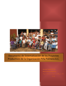 Sistematización, proyectos productivos, Piña Palmera
