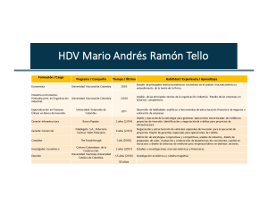 HDV Mario Andrés Ramón Tello - Especialistas en creación de Valor