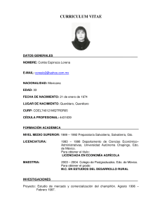 cv formato libre