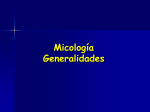 Micologia generalidades 2013