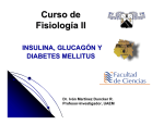 insulina y glucagon - Dr. Iván Martínez Duncker
