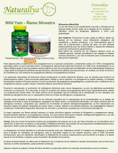 información de Wild Yam - Ñame Silvestre Naturallya