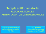 Terapia antiinflamatoria - Facultad de Ciencias Veterinarias