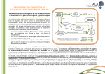 rehabilitación energética de viviendas y efectos sobre el empleo