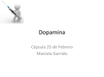 Dopamina - Urgencia UC