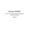 Ensayo HAMPI