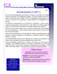 Somatomedina C (IGF-1)