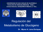 Regulación del Metabolismo de Glucógeno