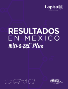 Untitled - Lapisa SA de CV