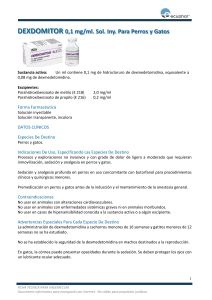 DEXDOMITOR 0,1 mg/ml. Sol. Iny. Para Perros y Gatos