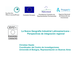 informe de Christian Haedo - Fundaci&oacute;n Observatorio Pyme