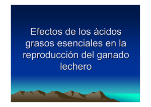 Efectos de los &aacute;cidos grasos esenciales en la