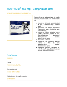 ROSTRUM 150 mg - Comprimido Oral