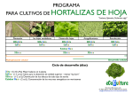 Programas_por_cultivo_files/hortalizas hoja PR