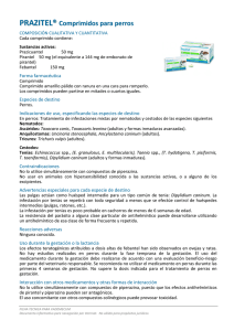 PRAZITEL&reg; Comprimidos para perros