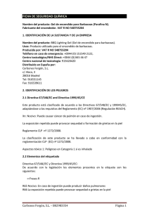 Descargar ficha de seguridad (Gel)