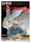 Cuni-Hedreres, una nueva empresa de conejo de ojo