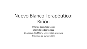 NUEVO BLANCO TERAPÉUTICO: RIÑON – Dr. Orlando Carlos