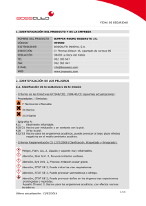 F.S.090003 Bumper negro Boss Auto 1L.