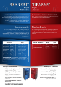 ficha técnica del producto