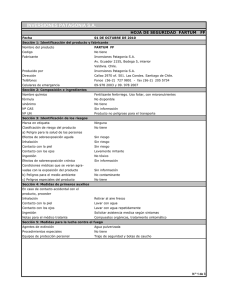 INVERSIONES PATAGONIA S.A.
